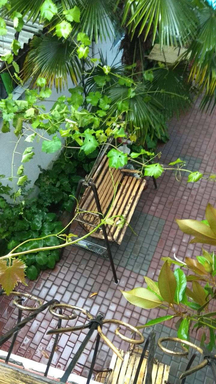 Фото Гостиницы Белая магнолия Алушта 18