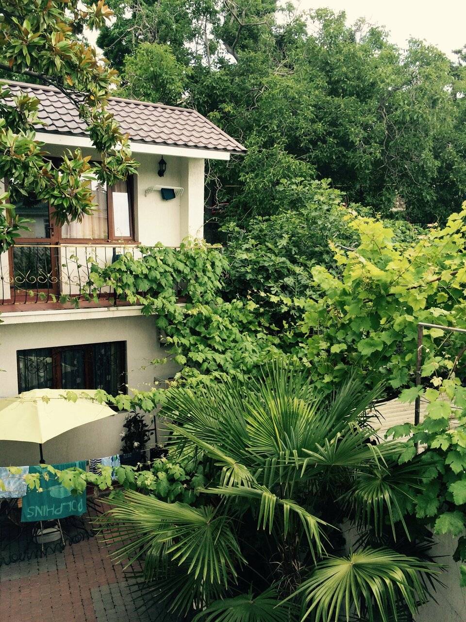 Фото Гостиницы Белая магнолия Алушта 7