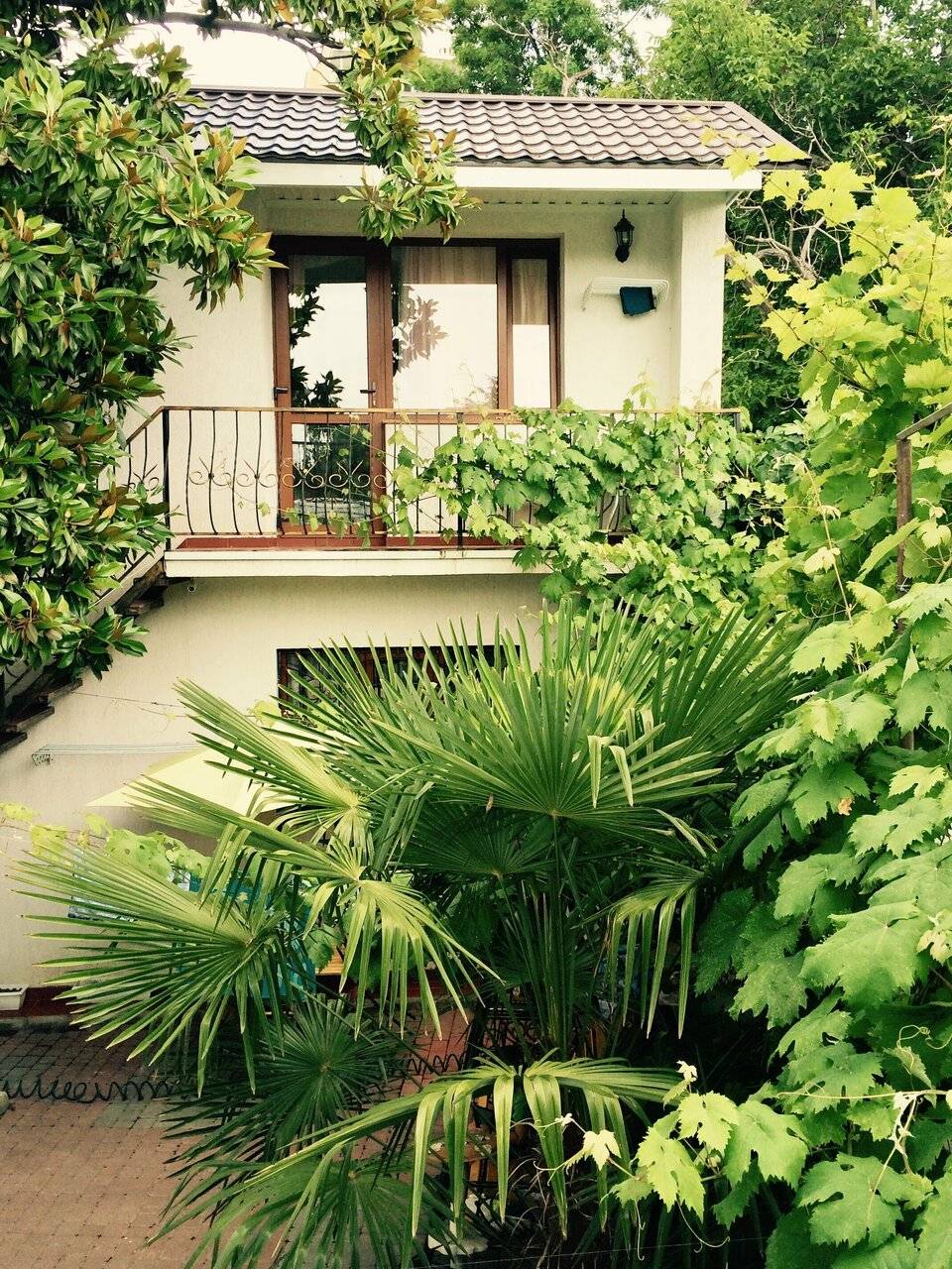 Фото Гостиницы Белая магнолия Алушта 12