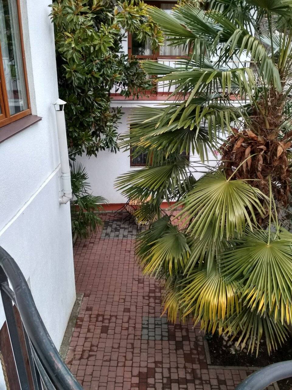 Фото Гостиницы Белая магнолия Алушта 16